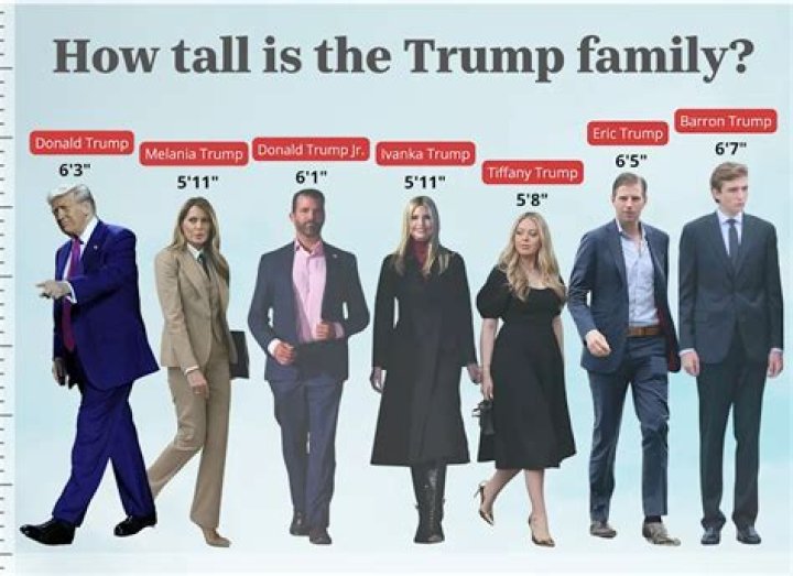 Jay-Z's Real Height: How Tall is He Actually?