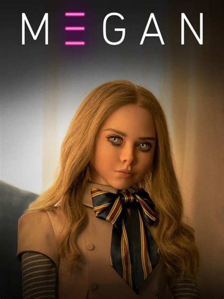 Megan: News, Profiles, & "Megan is Missing" Film Insights