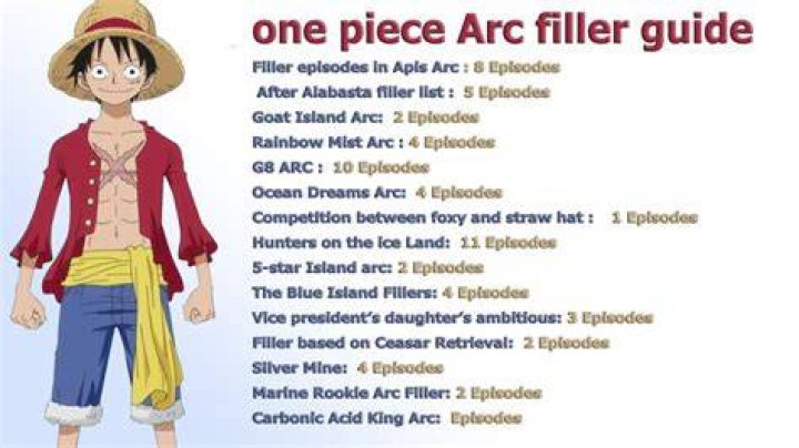 The Ultimate Guide to One Piece Filler Arcs